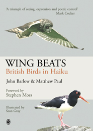 wing_beats_thumbnail